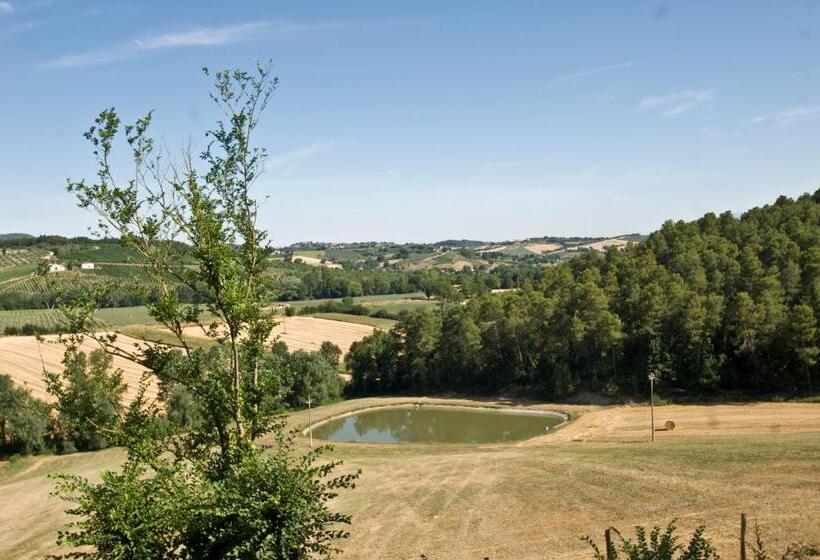 Casale Del Monsignore