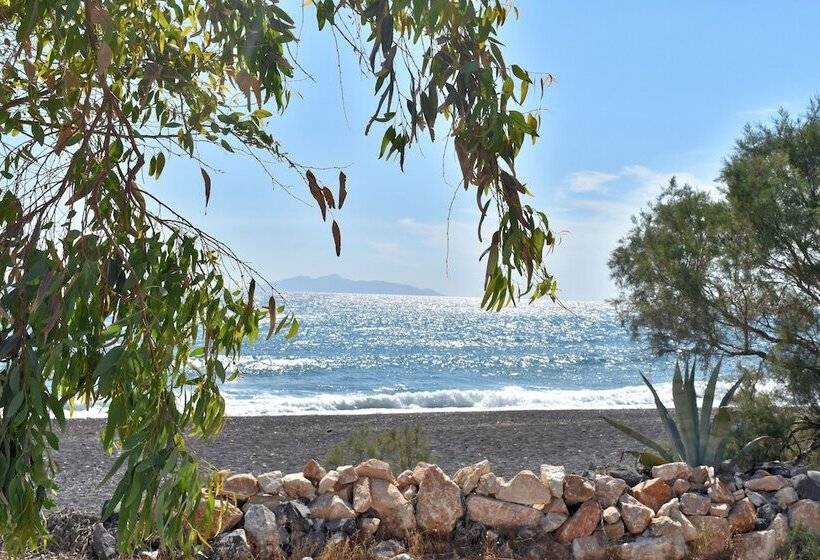 Damma Beachfront Luxury Villa