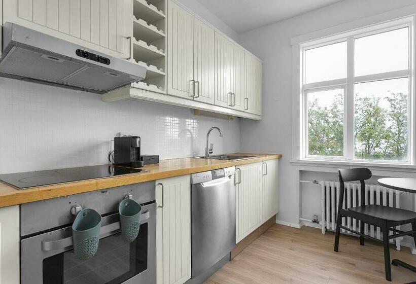 Eiriksgata Apartments By Heimaleiga