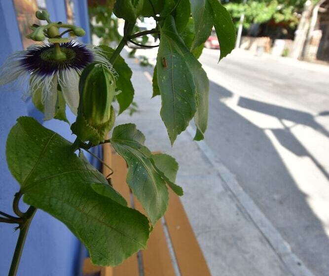 酒店 Casa Almendro