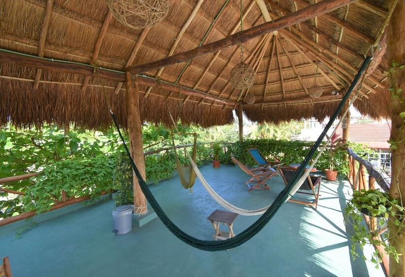 酒店 Casa Almendro