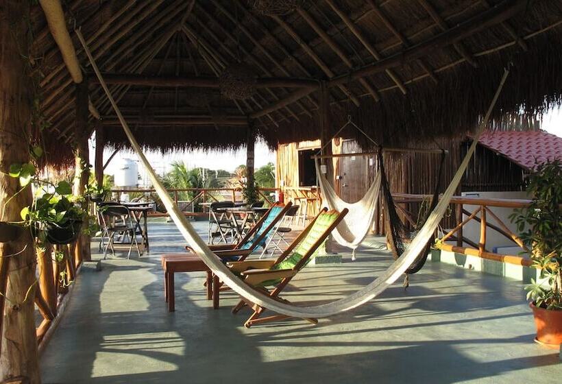 酒店 Casa Almendro