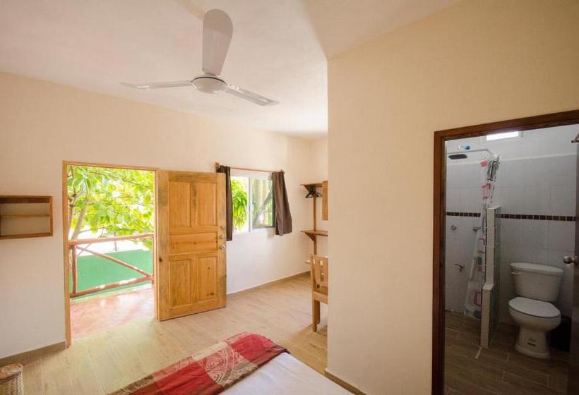 酒店 Casa Almendro