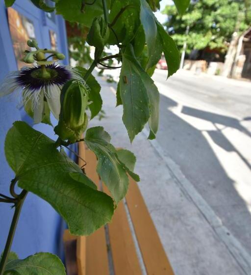 酒店 Casa Almendro