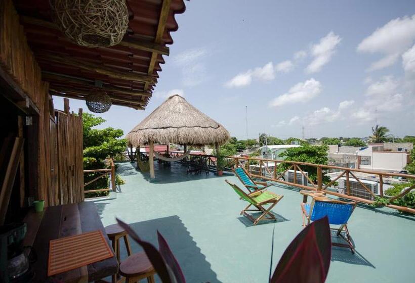 酒店 Casa Almendro