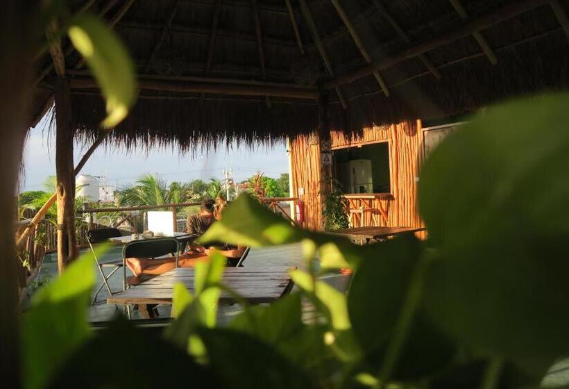 酒店 Casa Almendro