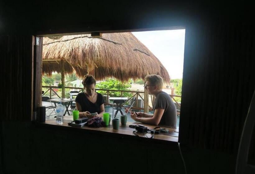 酒店 Casa Almendro