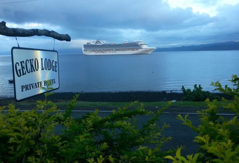 هتل Gecko Lodge Fiji