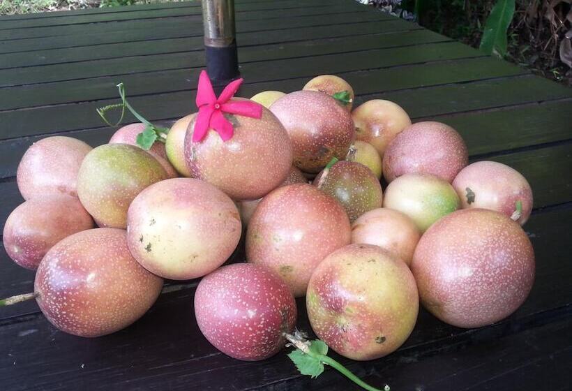 فندق Gecko Lodge Fiji