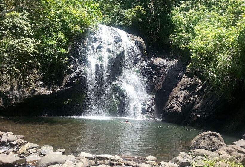فندق Gecko Lodge Fiji