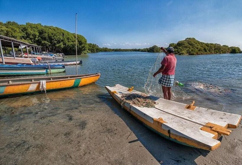 בית מלון כפרי Kodev