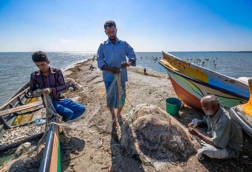 בית מלון כפרי Kodev