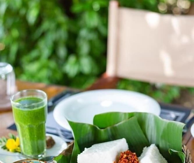 בית מלון כפרי Kodev