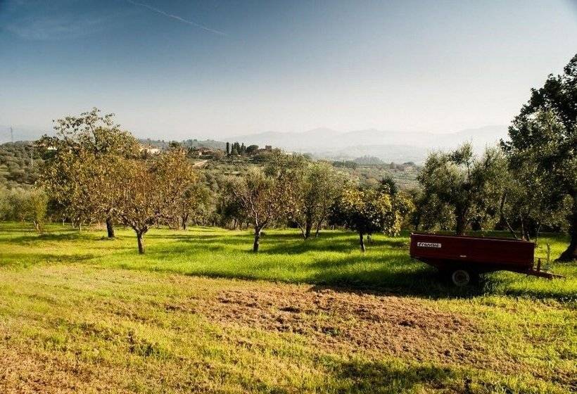 교외 호텔 Podere Scaluccia