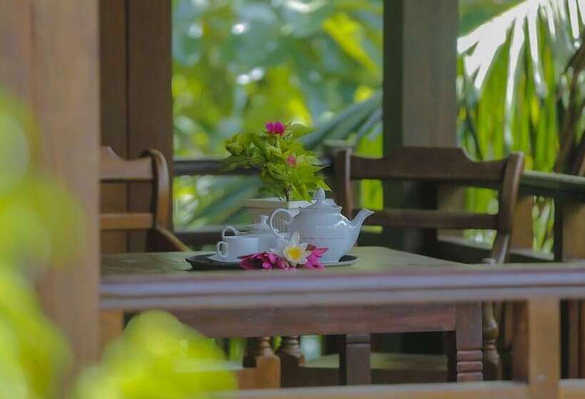 בית מלון כפרי Silver Crown Nature Resort