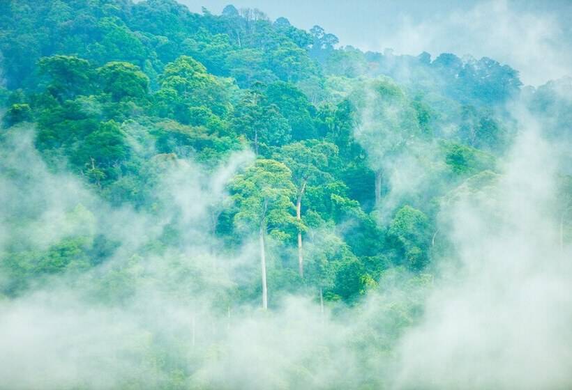 בית מלון כפרי Spyder Hill