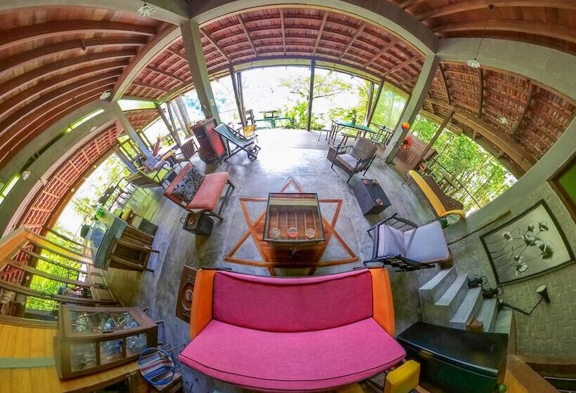 בית מלון כפרי Spyder Hill