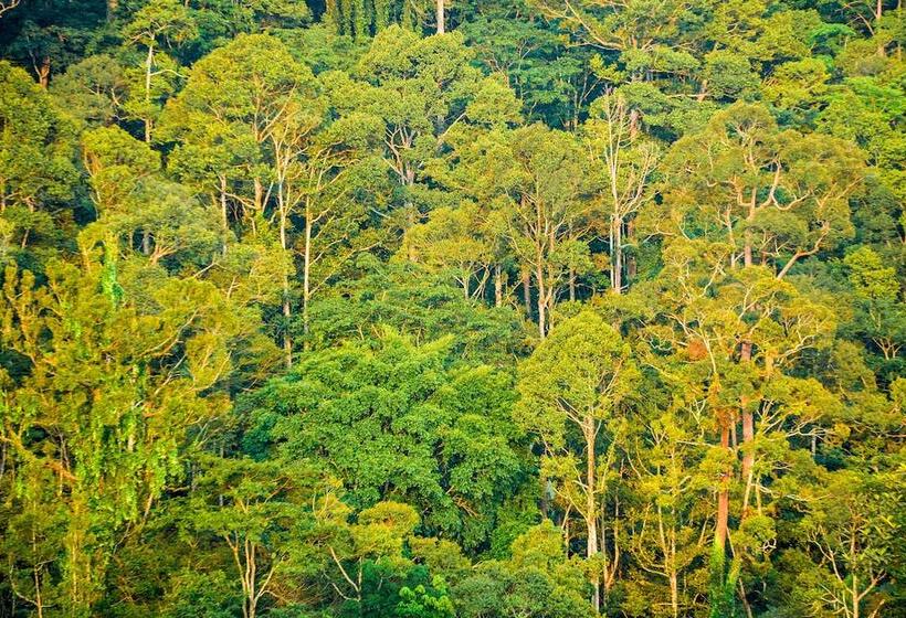בית מלון כפרי Spyder Hill