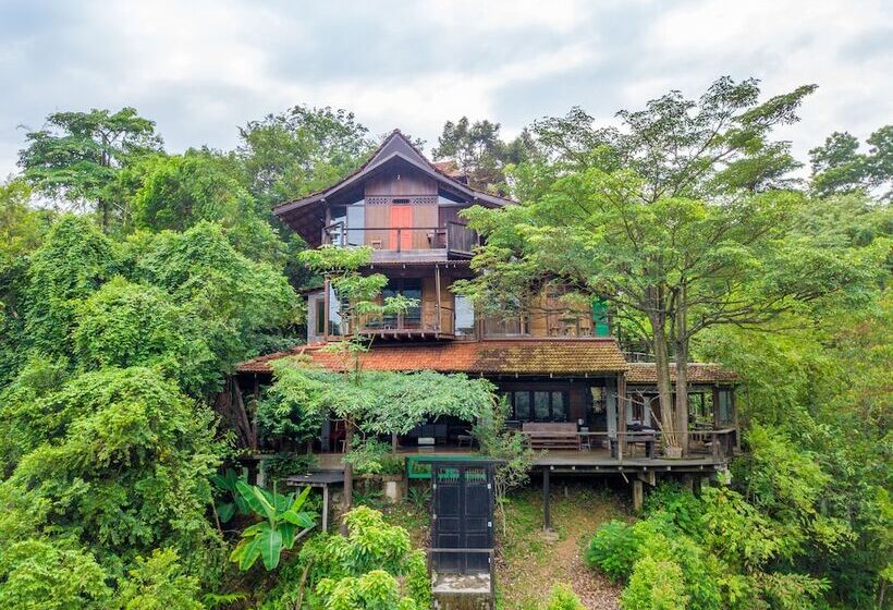 בית מלון כפרי Spyder Hill