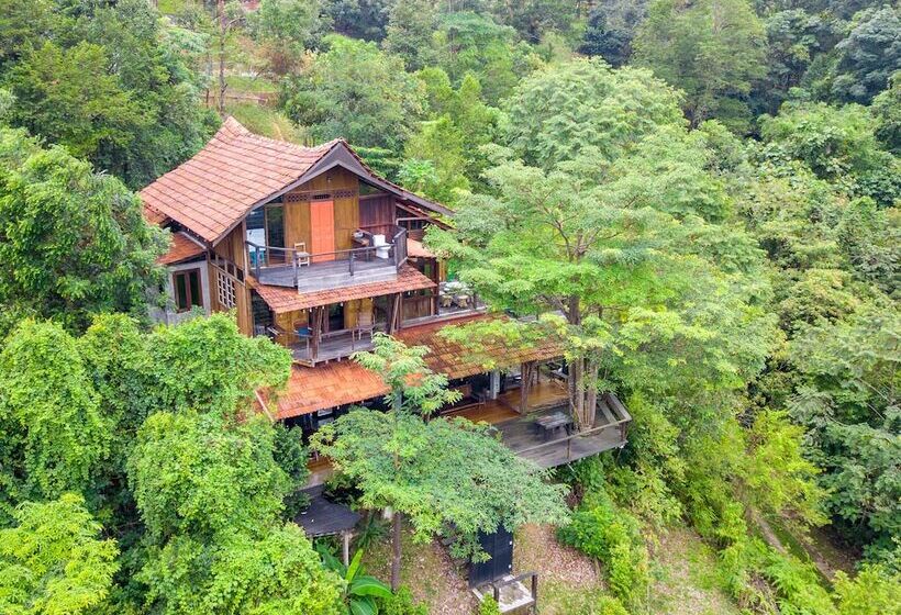 בית מלון כפרי Spyder Hill