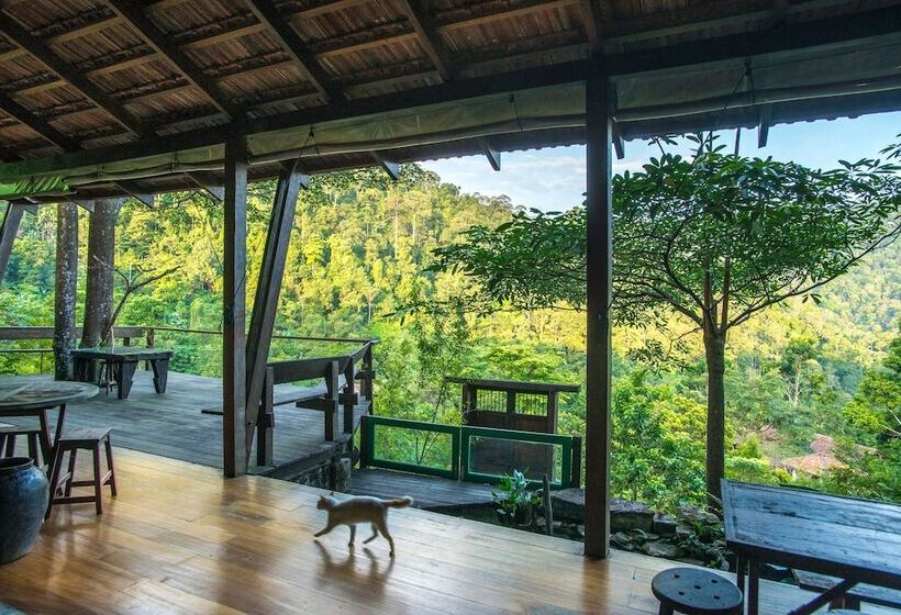 בית מלון כפרי Spyder Hill