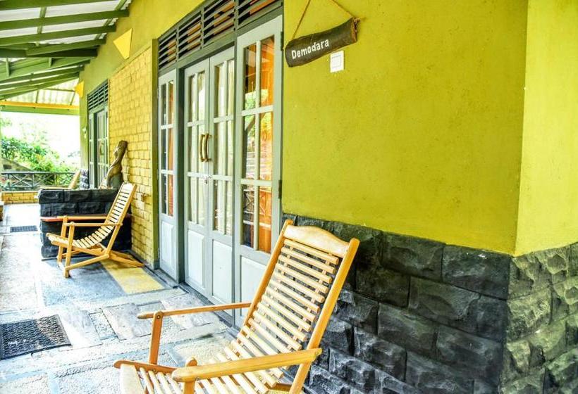 فندق Train View Chalet