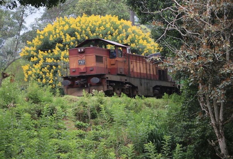 فندق Train View Chalet