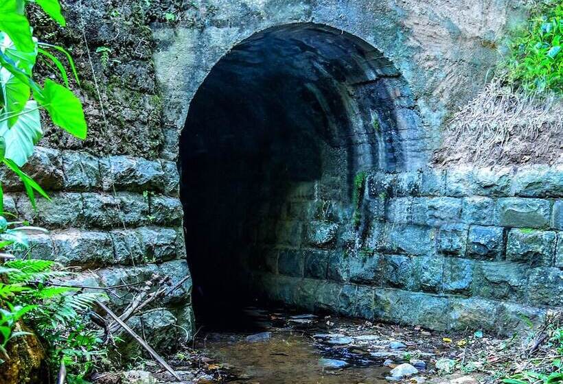 فندق Train View Chalet