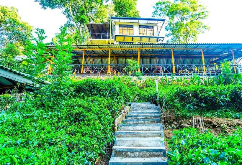 فندق Train View Chalet