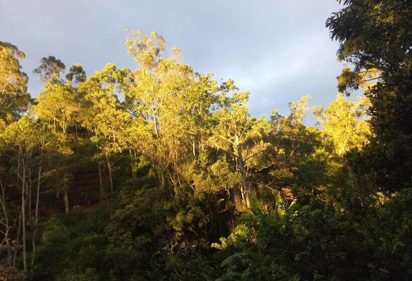 فندق Train View Chalet