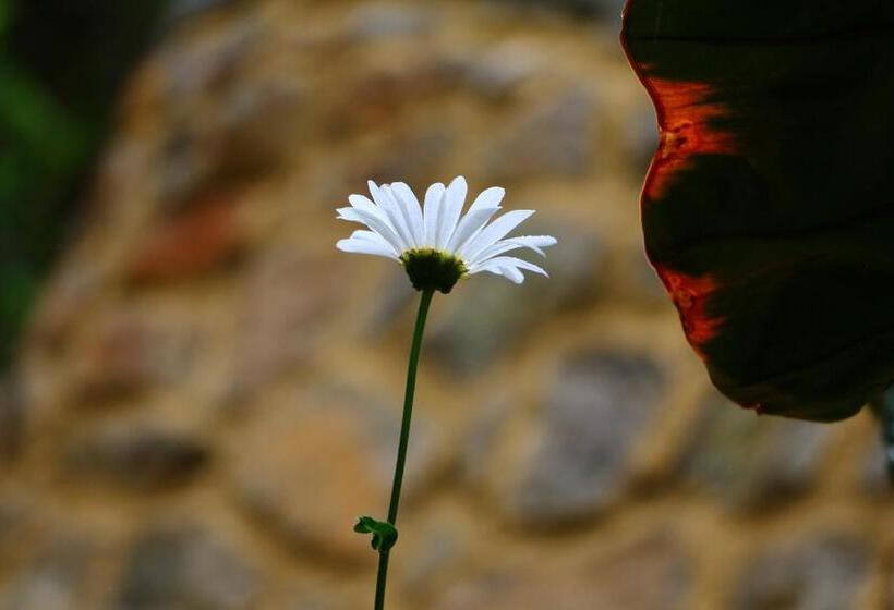 فندق Train View Chalet