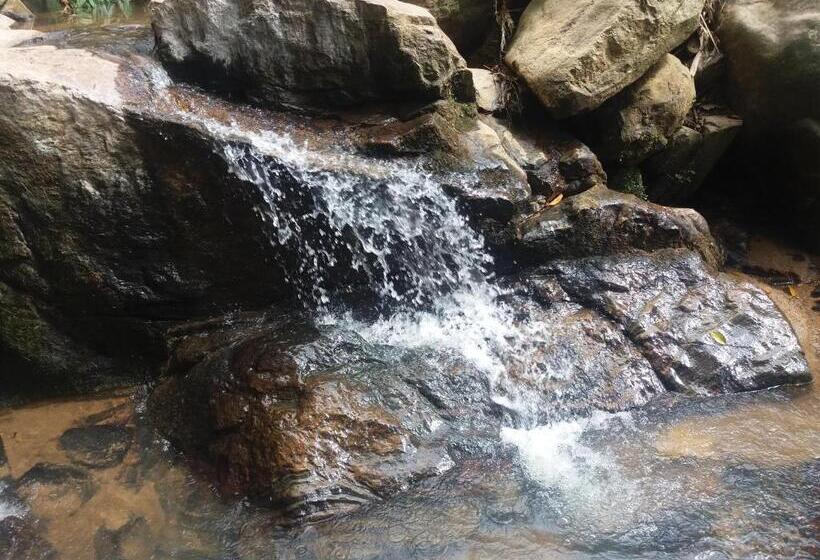 فندق Train View Chalet