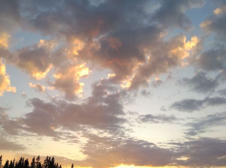 هتل Trysil Glamping