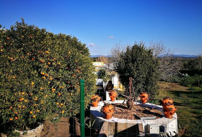 بنسيون Casa Do Peso