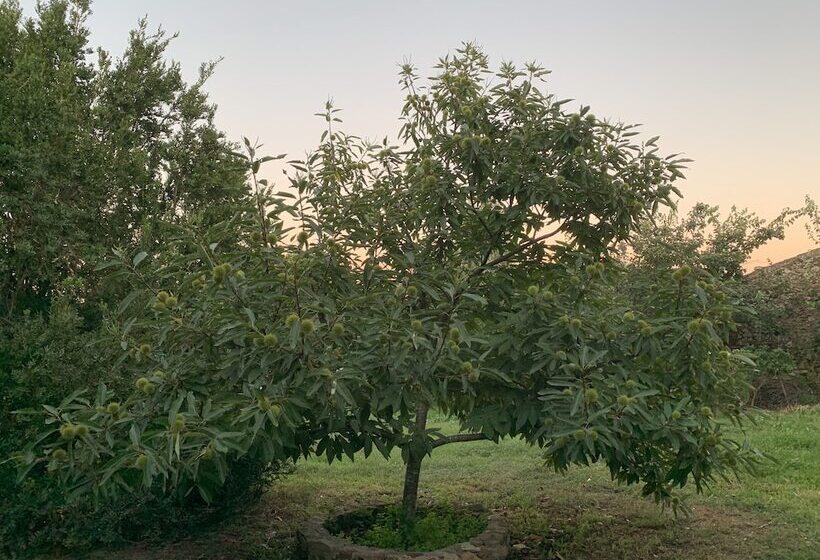 بنسيون Casa Do Peso