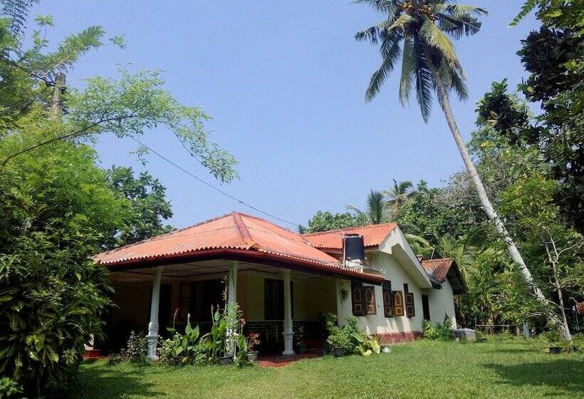 פנסיון Dreams Garden Surf Lodge