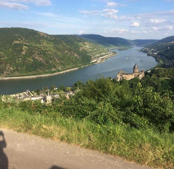 פנסיון Zur Fledermaus