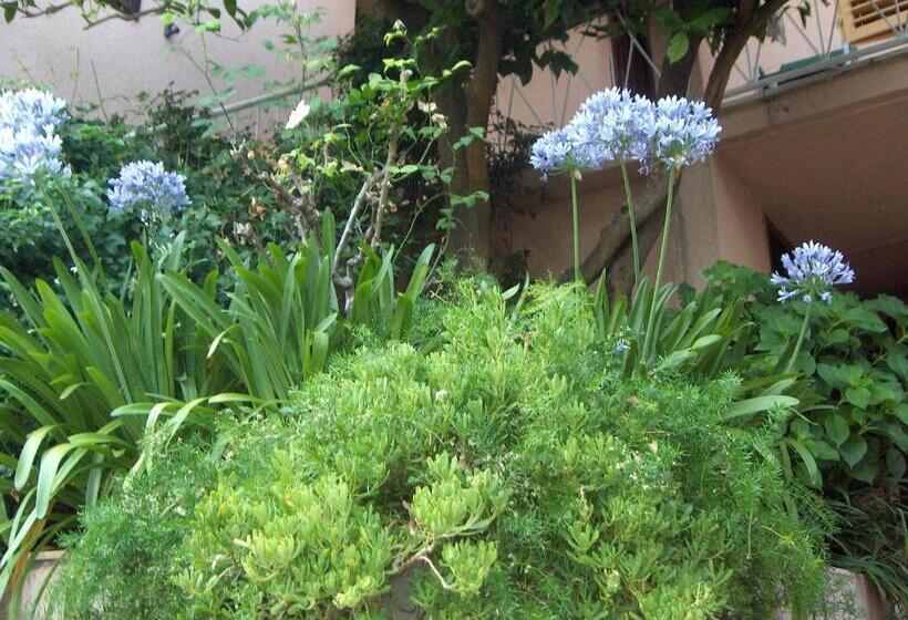 פנסיון Guest House Roza