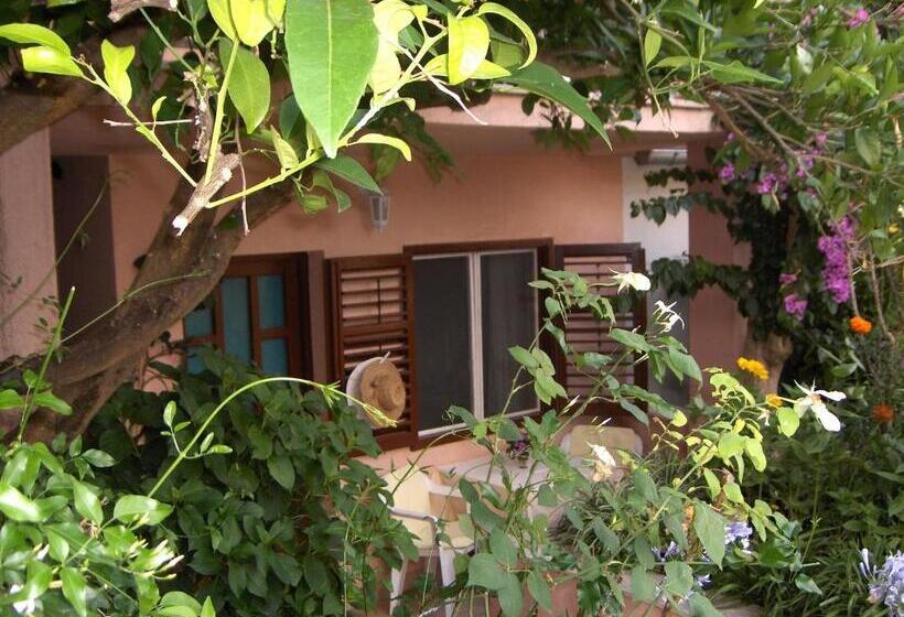 פנסיון Guest House Roza