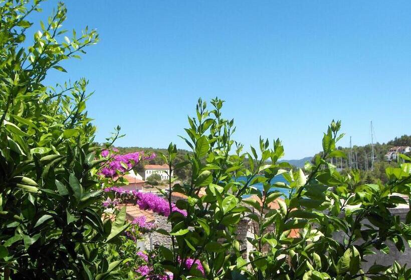 פנסיון Guest House Roza