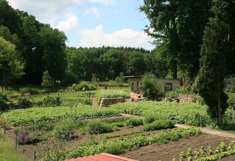 Pension & Gasthaus Kattenstieg
