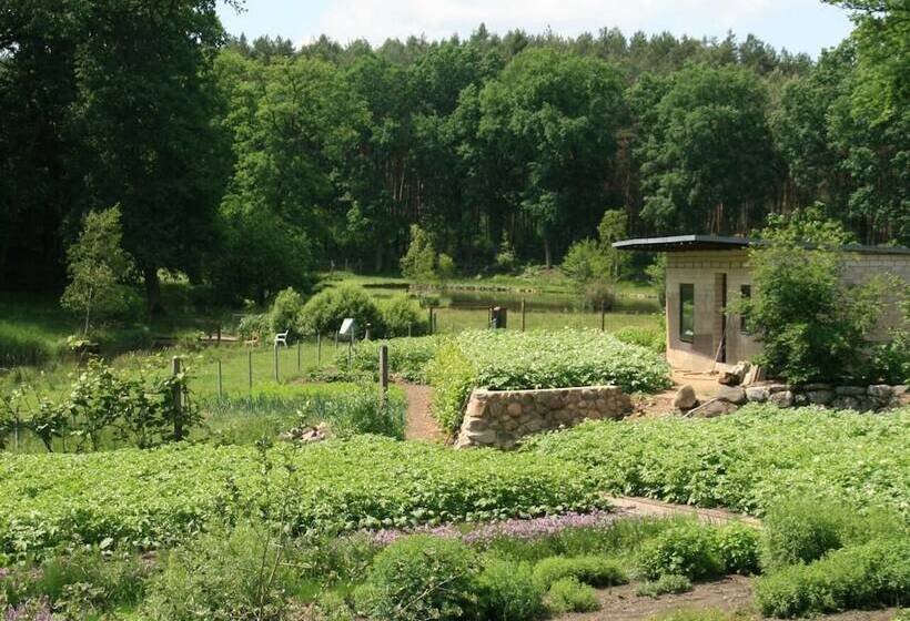 Pension & Gasthaus Kattenstieg