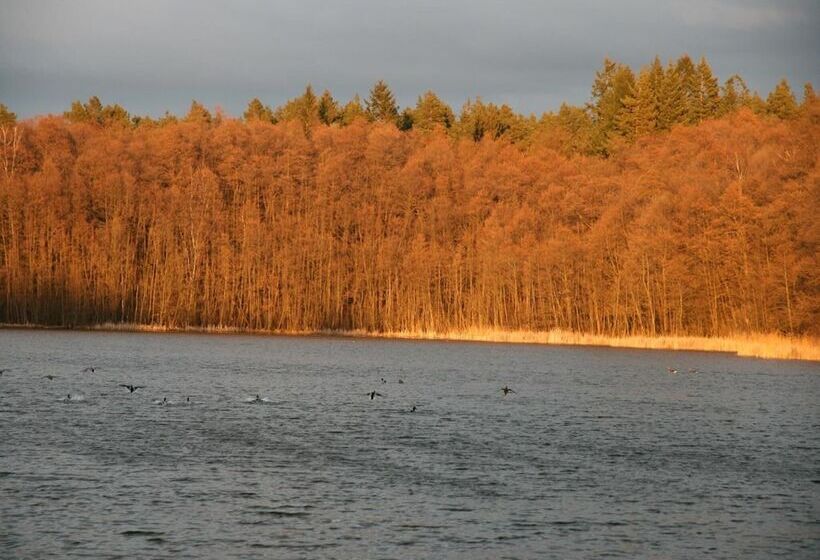 Pension & Gasthaus Kattenstieg