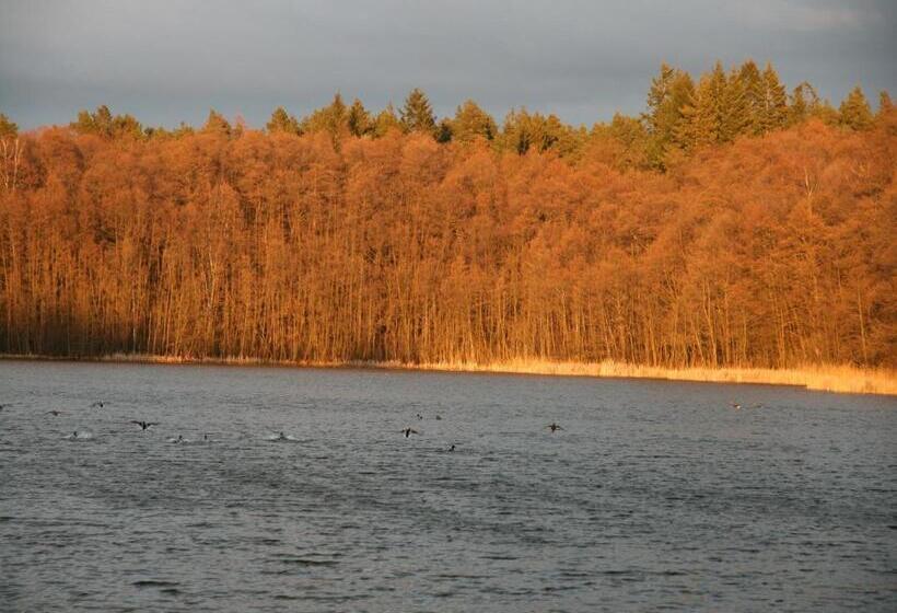 Pension & Gasthaus Kattenstieg