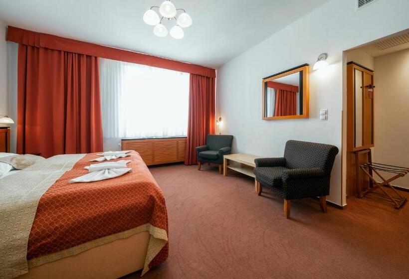 Пансион Penzion Homer Poděbrady