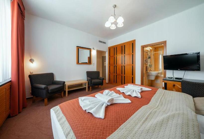 Пансион Penzion Homer Poděbrady