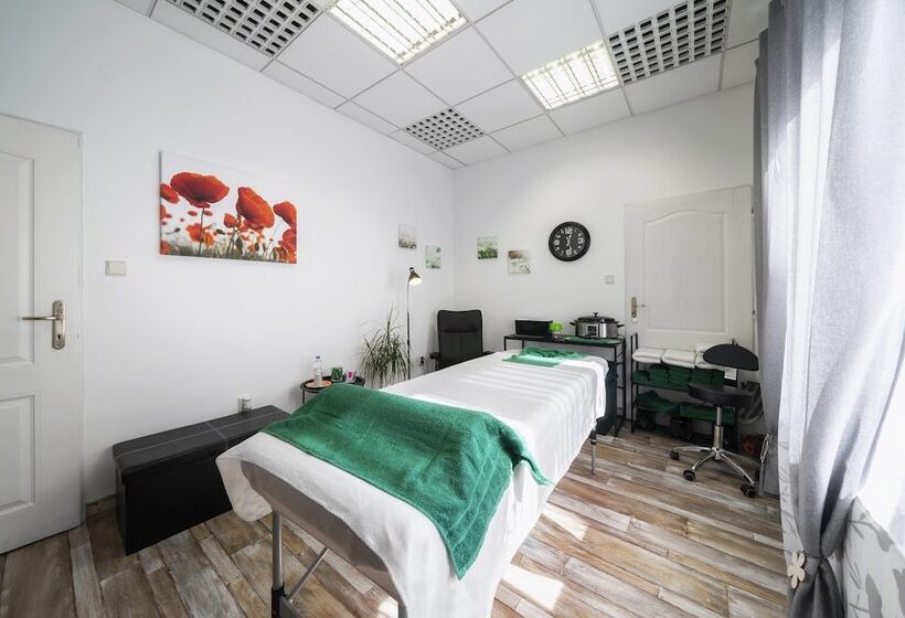 Пансион Penzion Homer Poděbrady