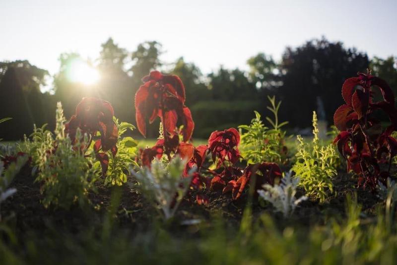 Пансион Penzion Homer Poděbrady