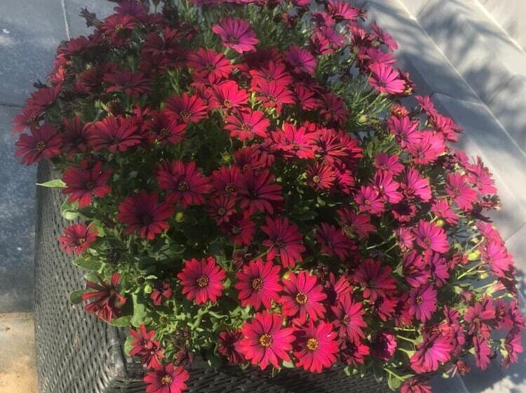 مبيت وإفطار Hilmors Overnatning