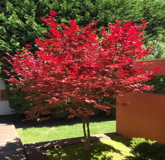 ベッドアンドブレックファースト Cascais Casa Laranja